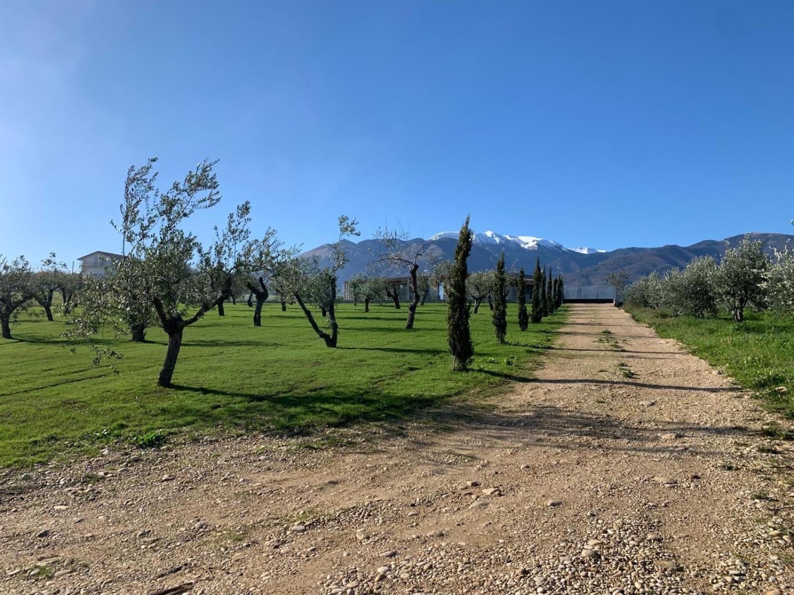Villa Pirello Guardiagrele Εξωτερικό φωτογραφία